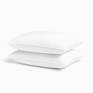 Herington 2 Pack Low & Soft Pillows